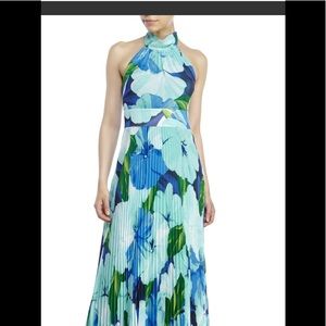 Eliza J Blue Floral Maxi Dress